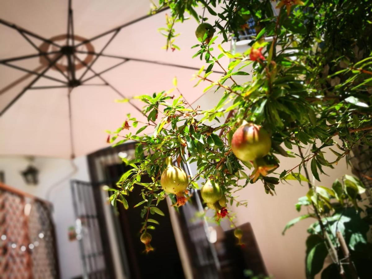 Bella Palermo Bed & Breakfast ภายนอก รูปภาพ