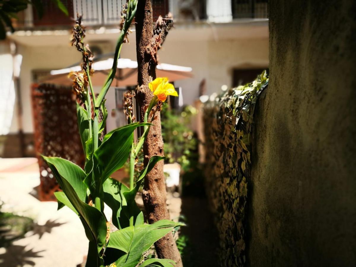 Bella Palermo Bed & Breakfast ภายนอก รูปภาพ