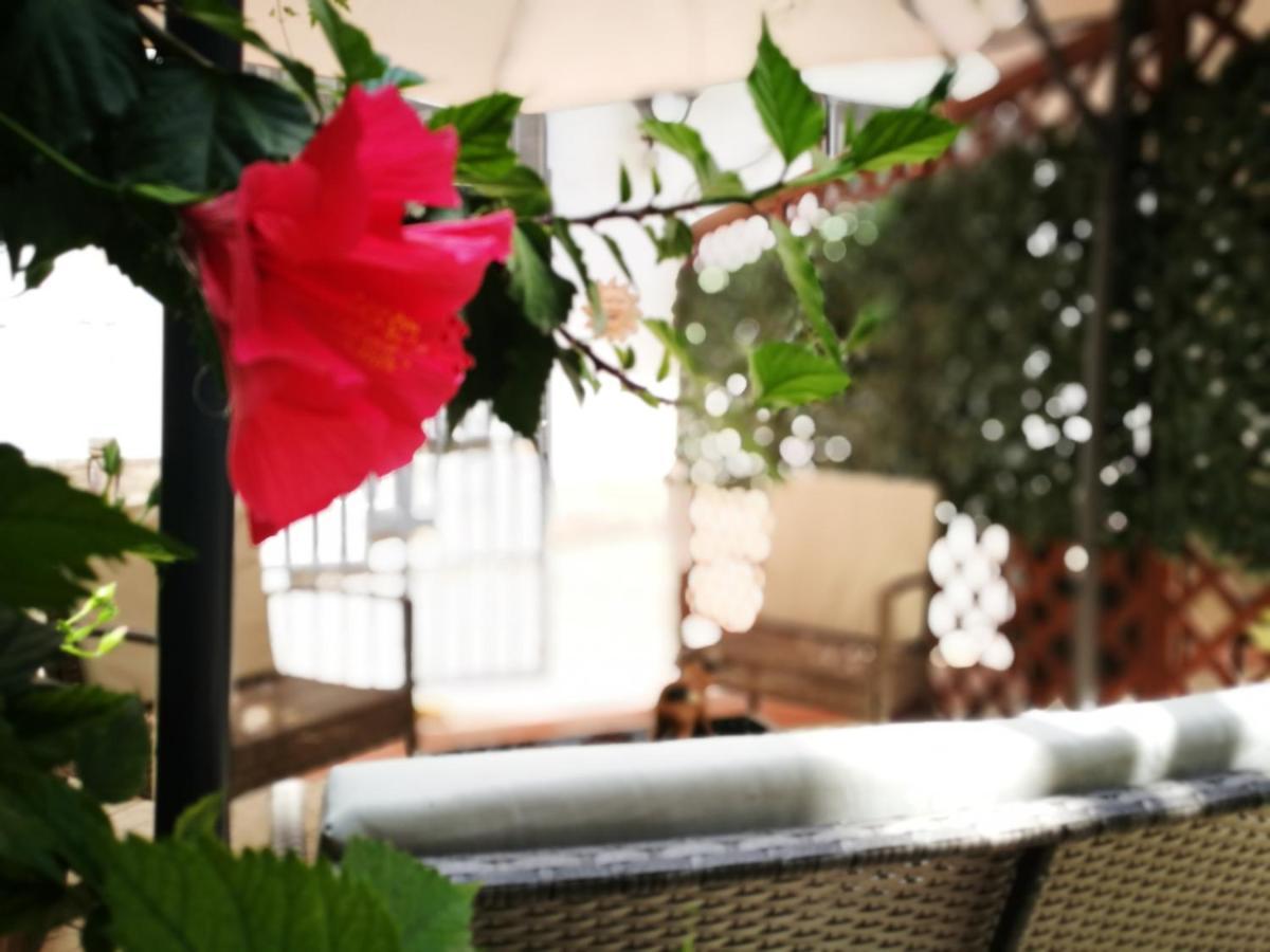 Bella Palermo Bed & Breakfast ภายนอก รูปภาพ