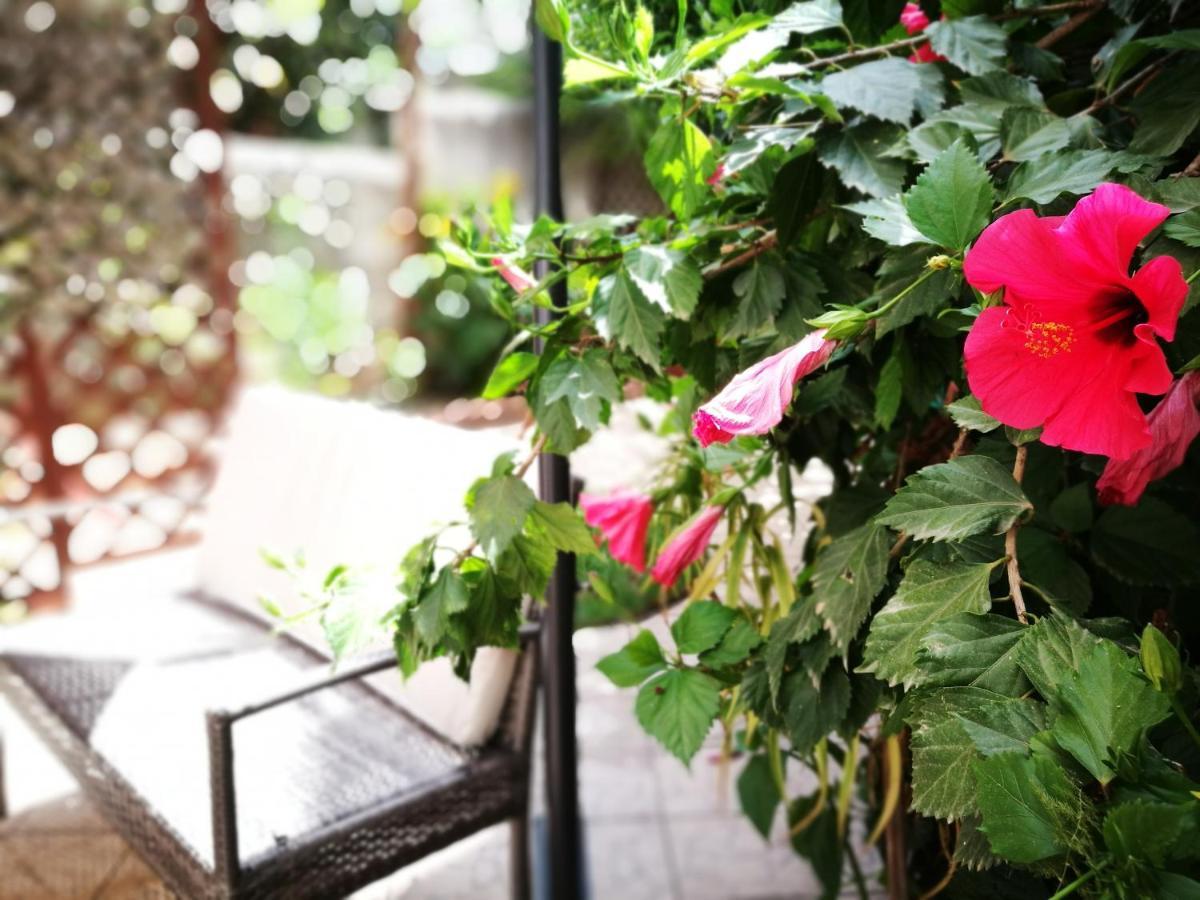 Bella Palermo Bed & Breakfast ภายนอก รูปภาพ